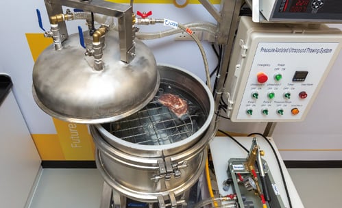 Rapid Food Thawing System by Ultrasound