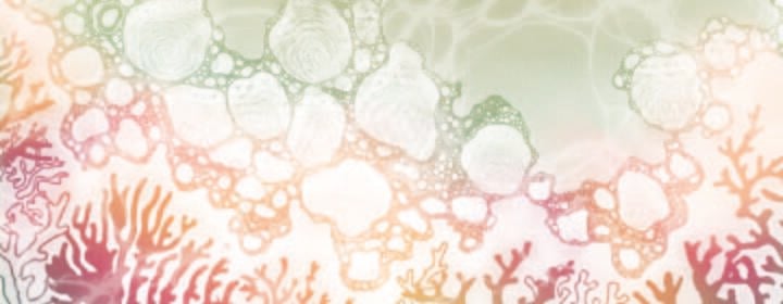 Fashion Source SZ _ Pamphlet Banner